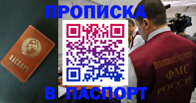 прописка иностранных граждан в Змеиногорске